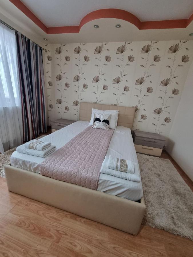Emily Residence Curtea de Argeş エクステリア 写真